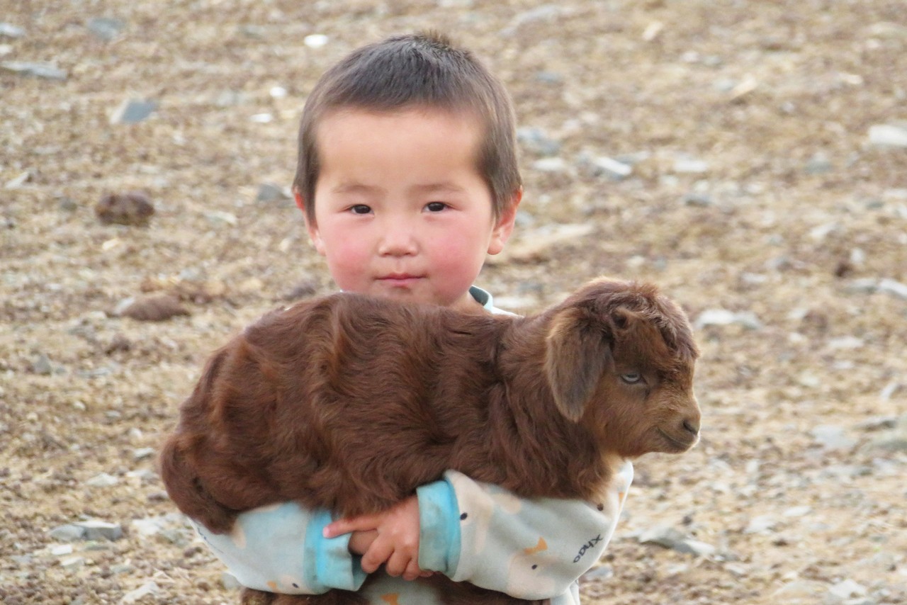 A Buryat boy holding a brown lamb in his hands