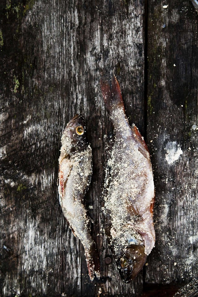 Two fish on a wooden surface