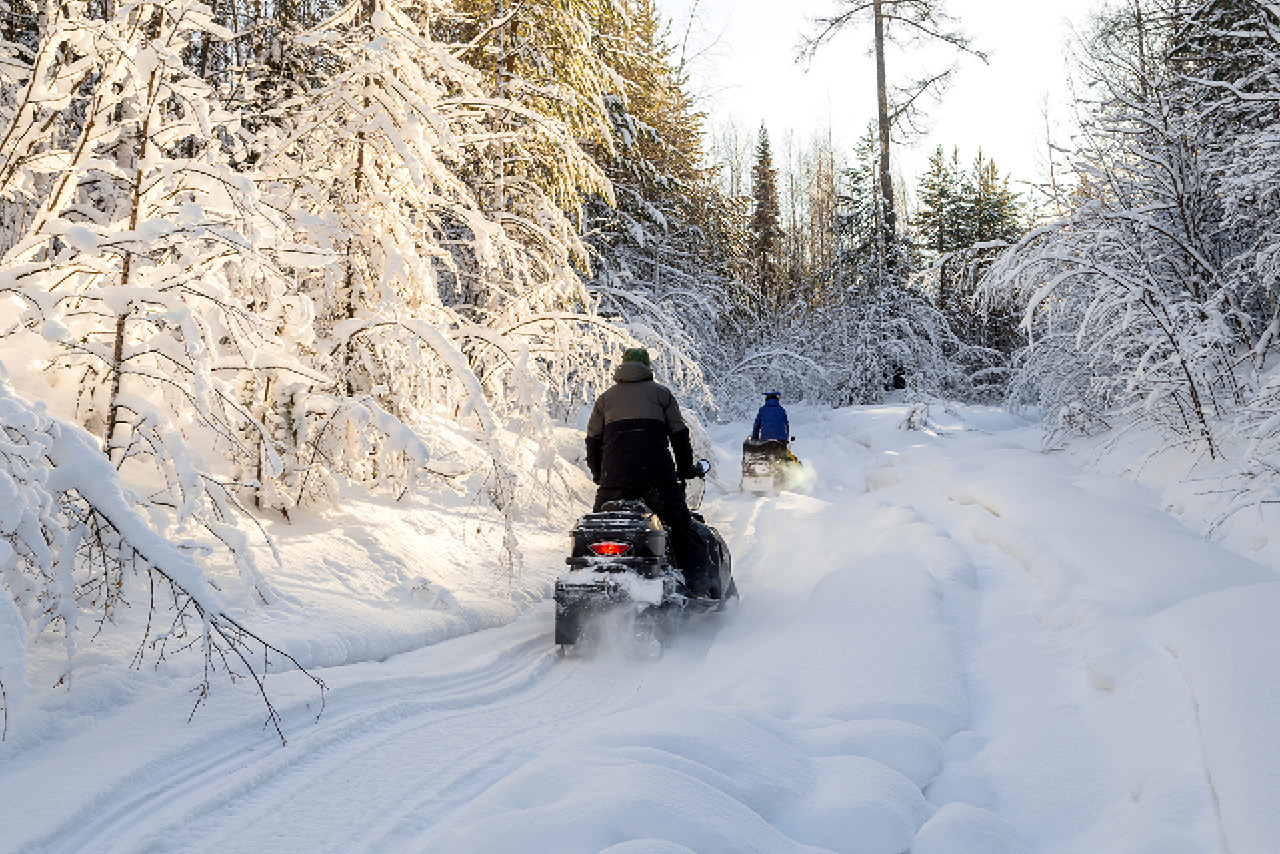 A group of people riding a snowmobile in the winter forest