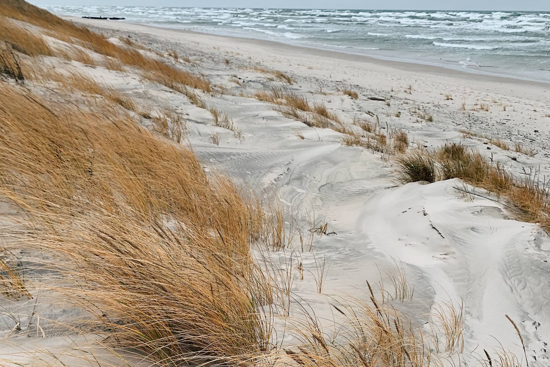 A desert sandy beach of Baltic sea, the sand-dune land with dry grass