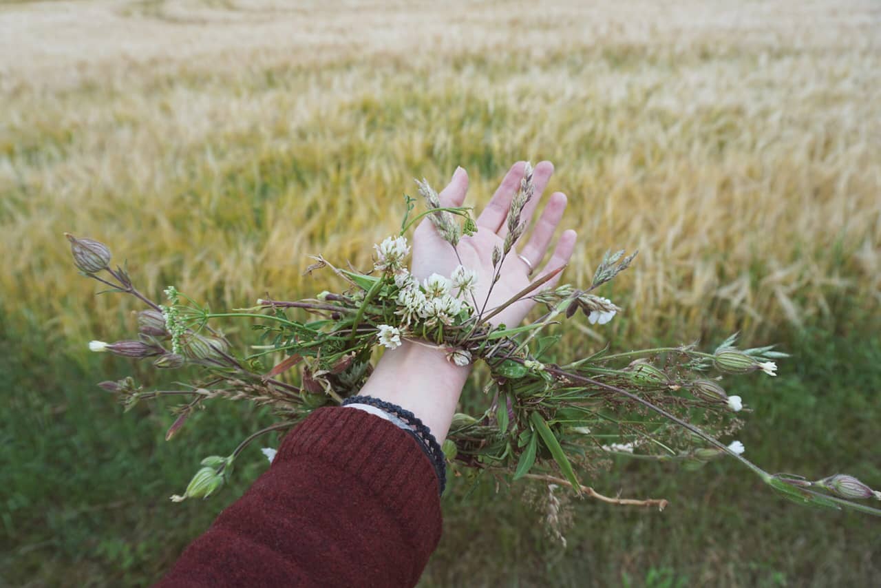 A hand of a woman holding herbs and field flowers