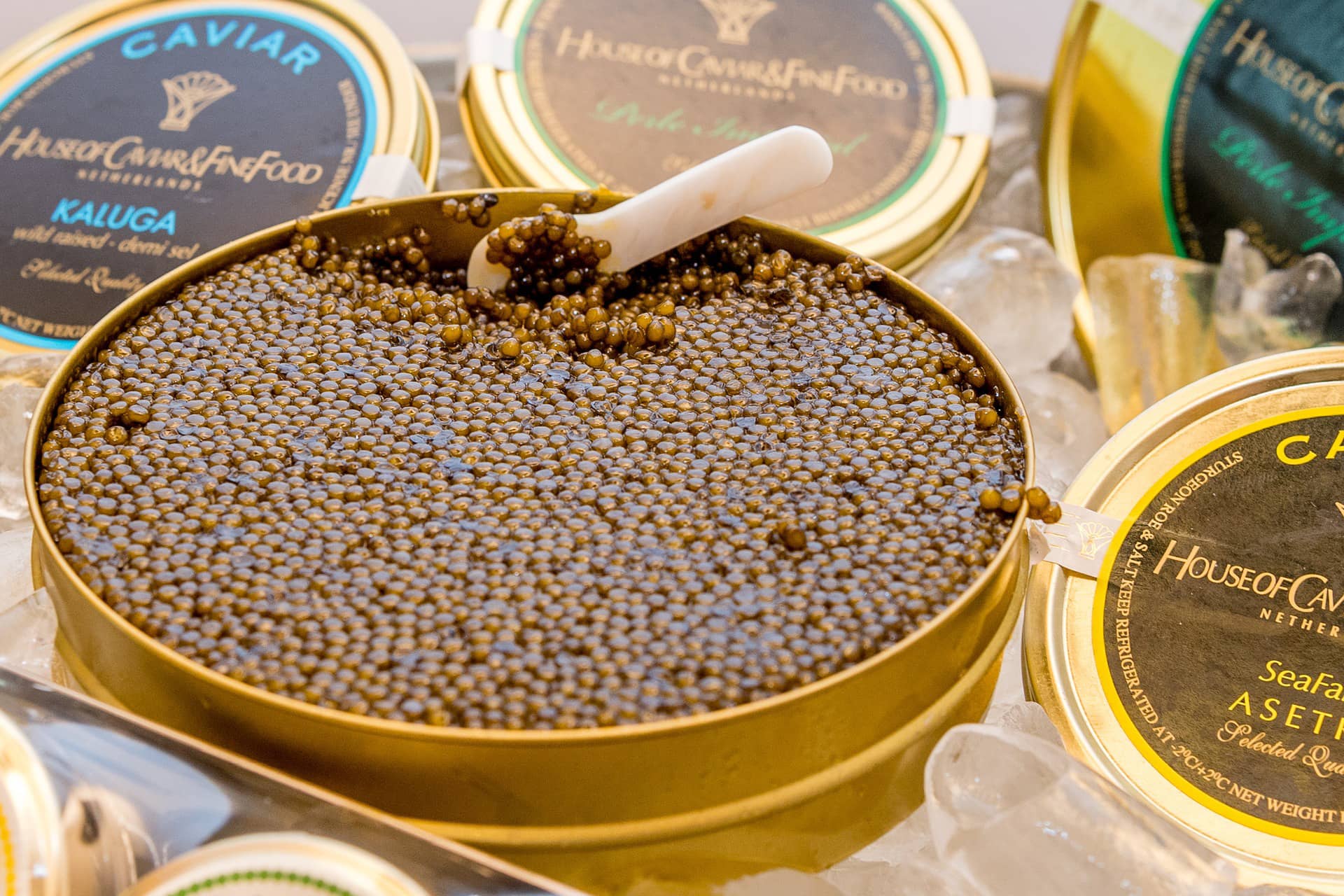 A can with high quality black caviar, sturgeon roe