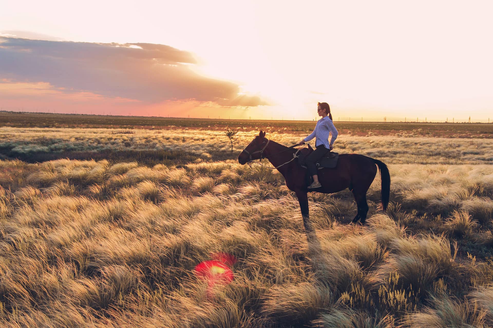 A horseman in a field