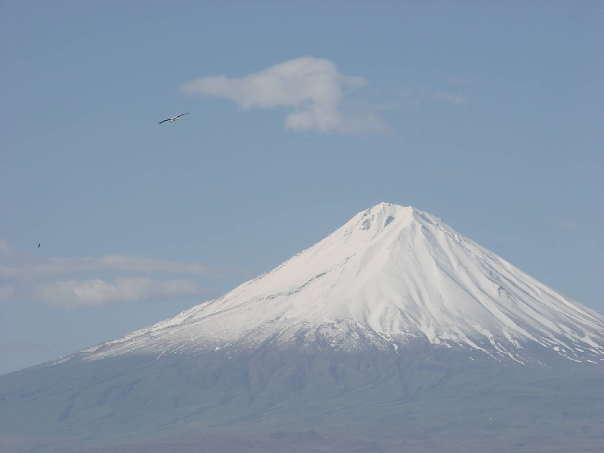 Ararat-1 (1)